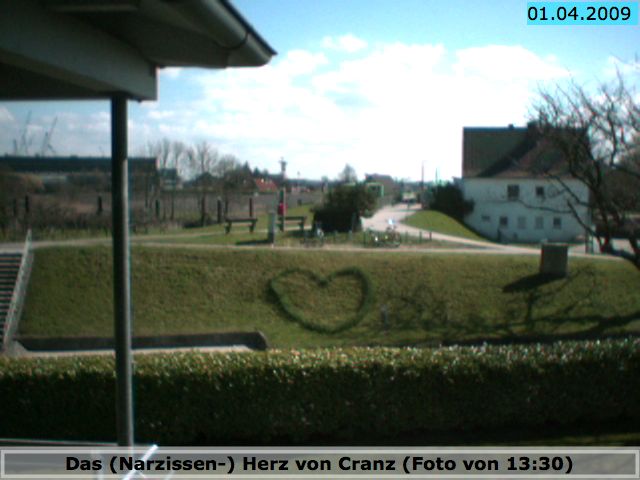 Narcissus Hamburg Germany Hamburg Germany - Webcams Abroad live images