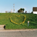 038_35A.JPG