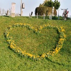 037_34A.JPG