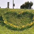 029_26A.JPG