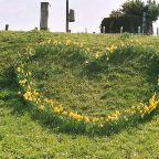 028_25A.JPG